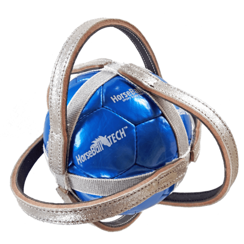 HorseBall Competition ball "Ponte De Lima" World Cup Edition Silver Array