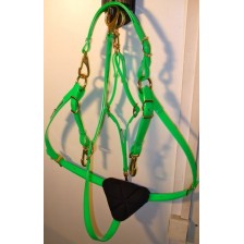 Collier de Chasse HorseBallTech fait en BioThane® - Vert