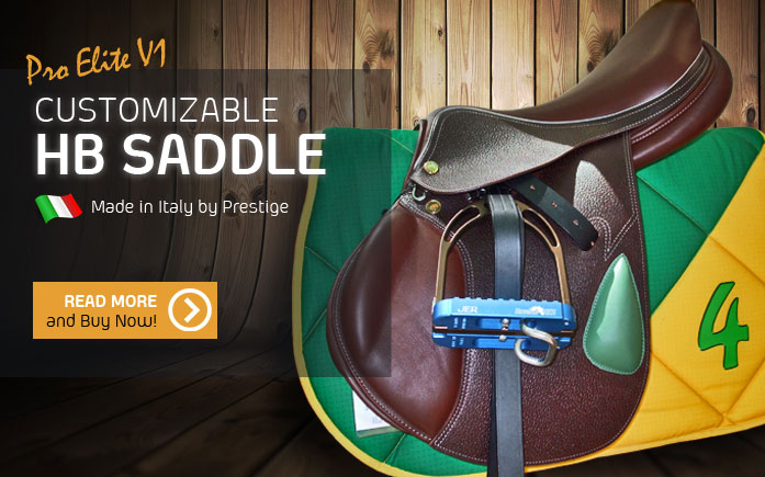 Horseball Saddles