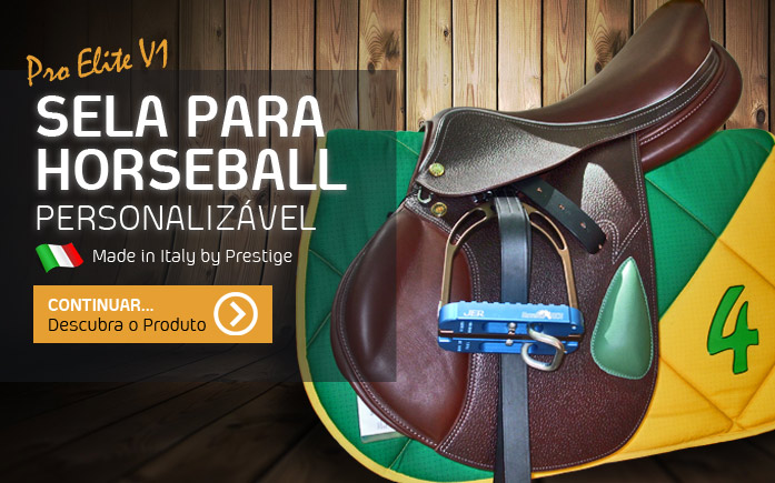 Selas de Horseball