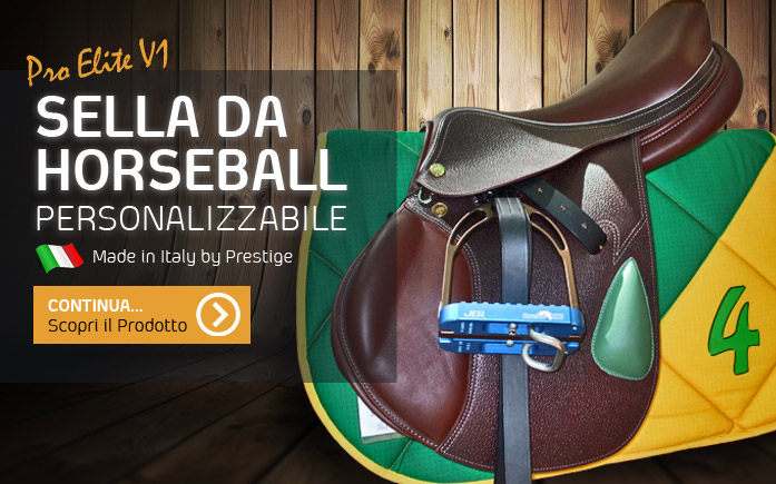 Selle da Horseball