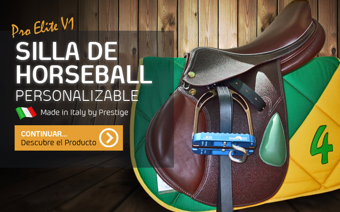 Sillas de montar para Horseball