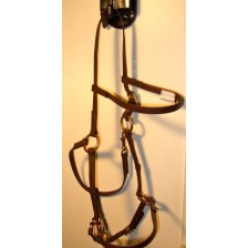  Bridle/Halter HorseBallTech made of  BioThane®